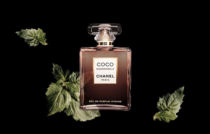 Review chi tiết Chanel Coco Mademoiselle - hương thơm của sự quyến rũ Hinh anh 3: Review chi tiet Chanel Coco Mademoiselle - huong thom cua su quyen ru