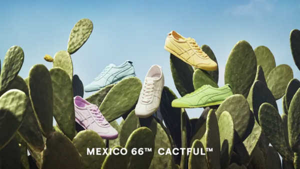 MEXICO 66™ CACTFUL™: Đôi giày "xương rồng" đầu tiên của Onitsuka Tiger Hinh anh 4: MEXICO 66™ CACTFUL™: Doi giay "xuong rong" dau tien cua Onitsuka Tiger
