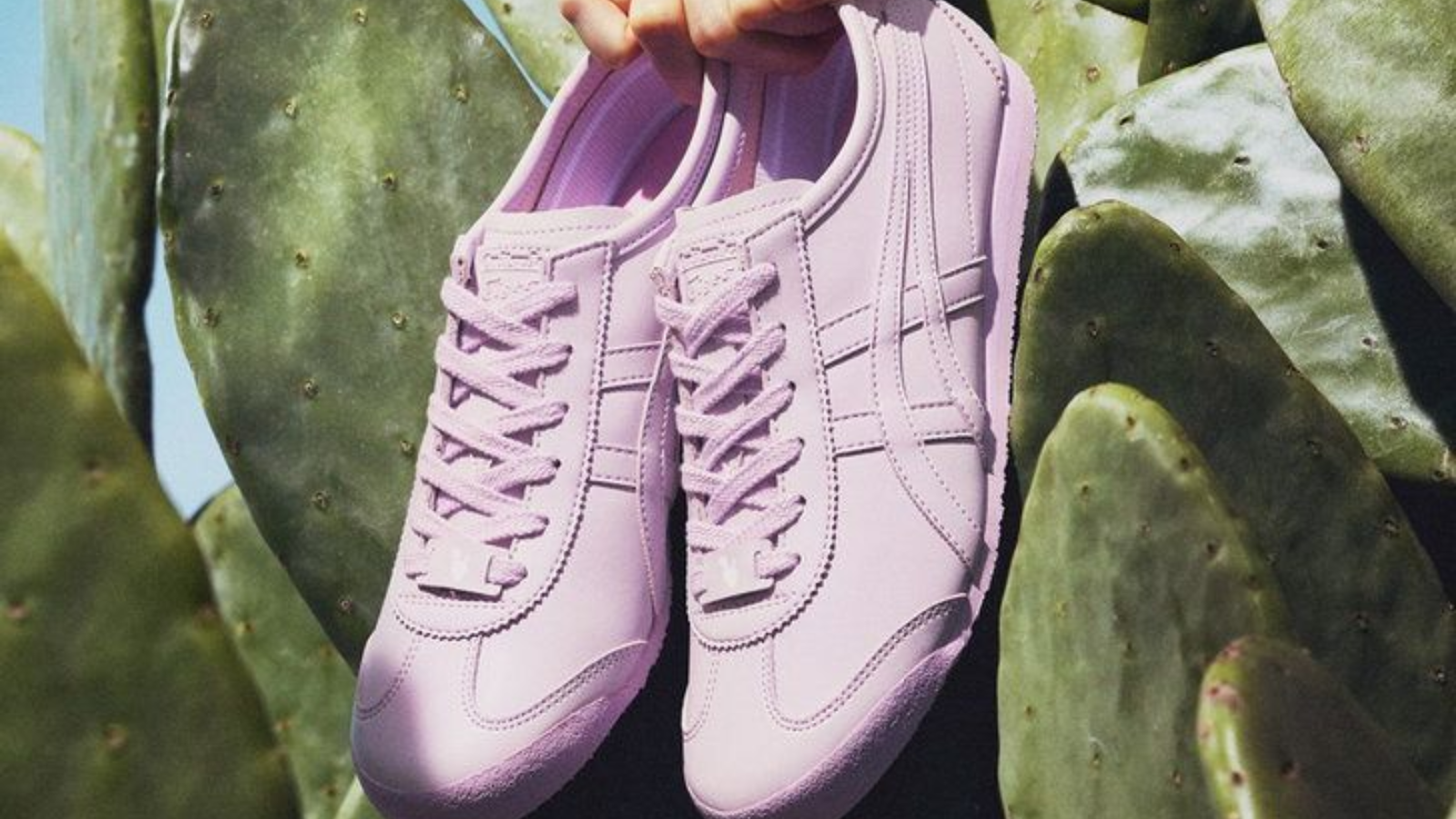 MEXICO 66™ CACTFUL™: Đôi giày "xương rồng" đầu tiên của Onitsuka Tiger Hinh anh 6: MEXICO 66™ CACTFUL™: Doi giay "xuong rong" dau tien cua Onitsuka Tiger