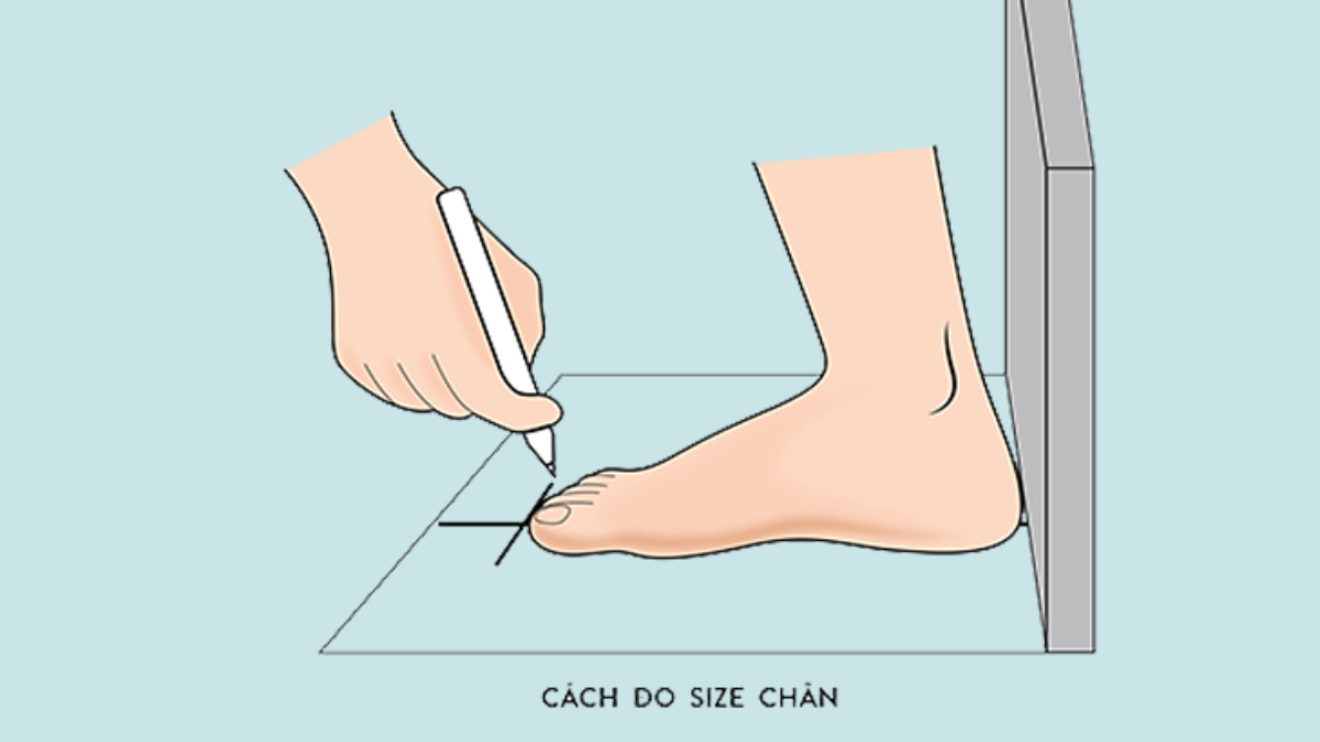 Chọn size giày Reebok Club C và những lưu ý trước khi mua giày Reebok Hinh anh 11: Huong dan chon size giay Reebok chinh xac voi bang do luong chi tiet
