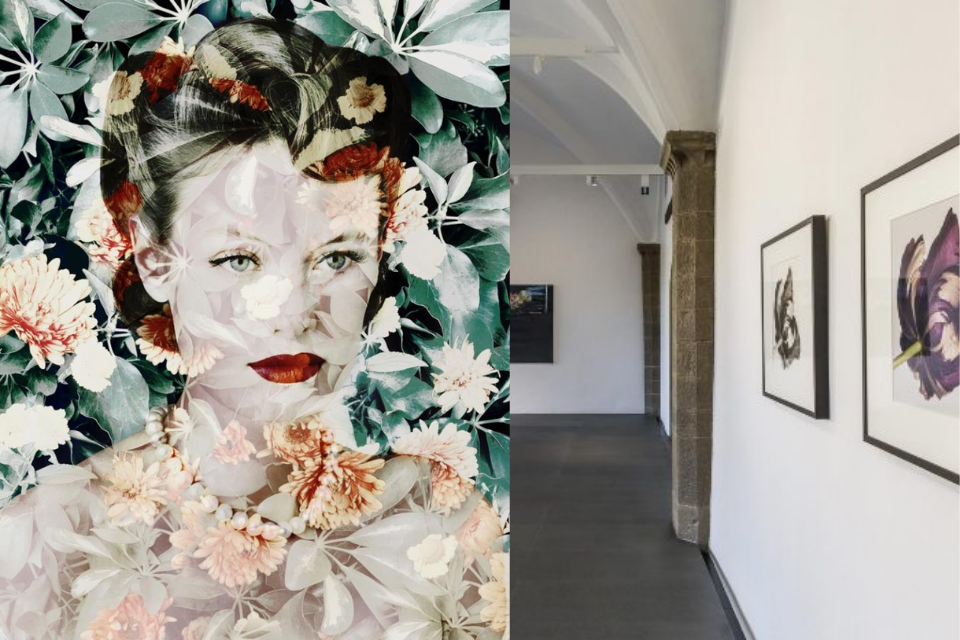 giai-dap-y-nghia-phia-sau-nhung-hoa-tiet-cua-gucci