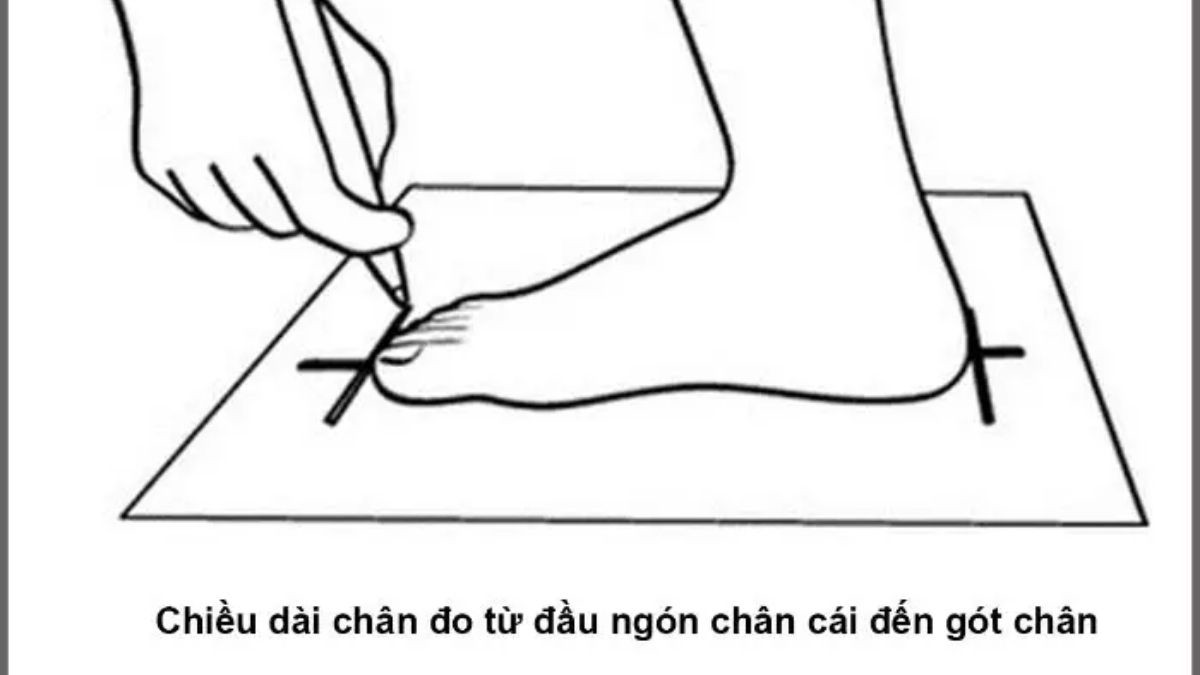 cac-buoc-de-lua-chon-size-giay-reebok-hop-li-nhat