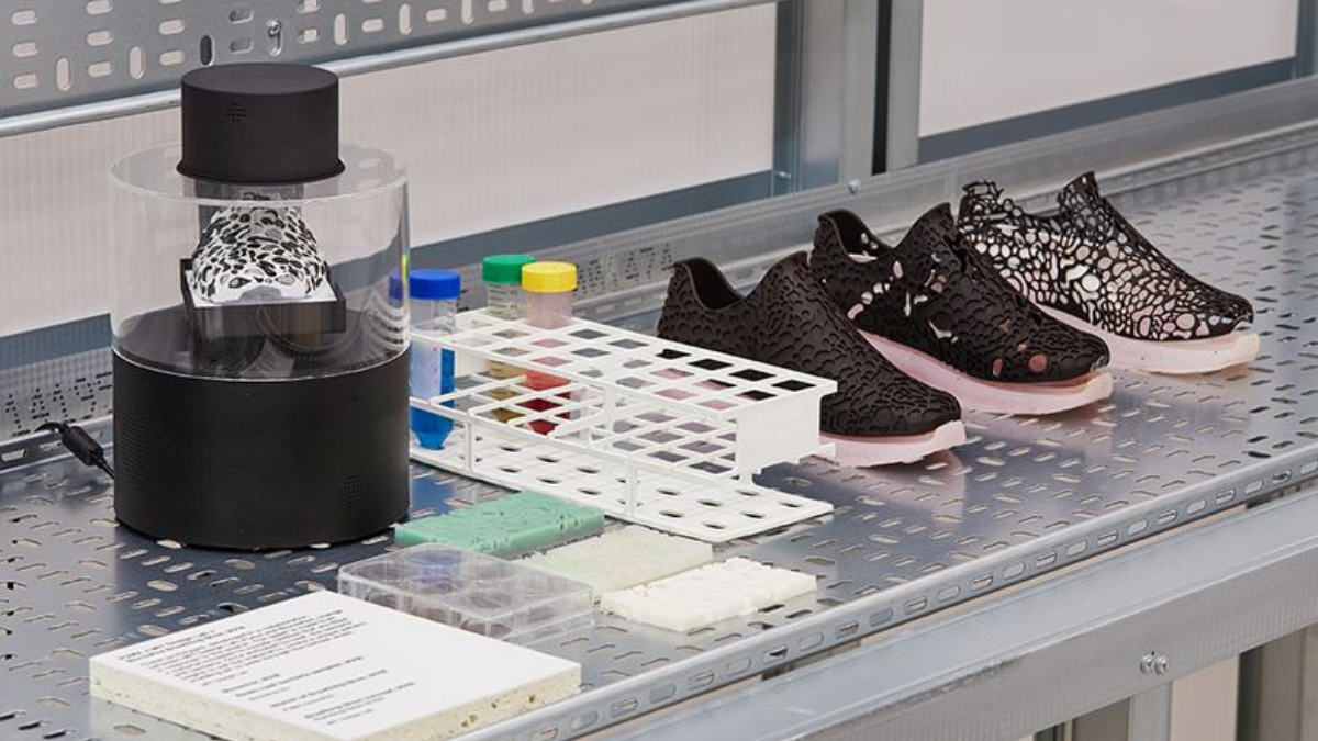 Có hay không việc thành lập một bảo tàng giày thể thao? Hinh anh 2: Co hay khong viec thanh lap mot bao tang giay the thao?