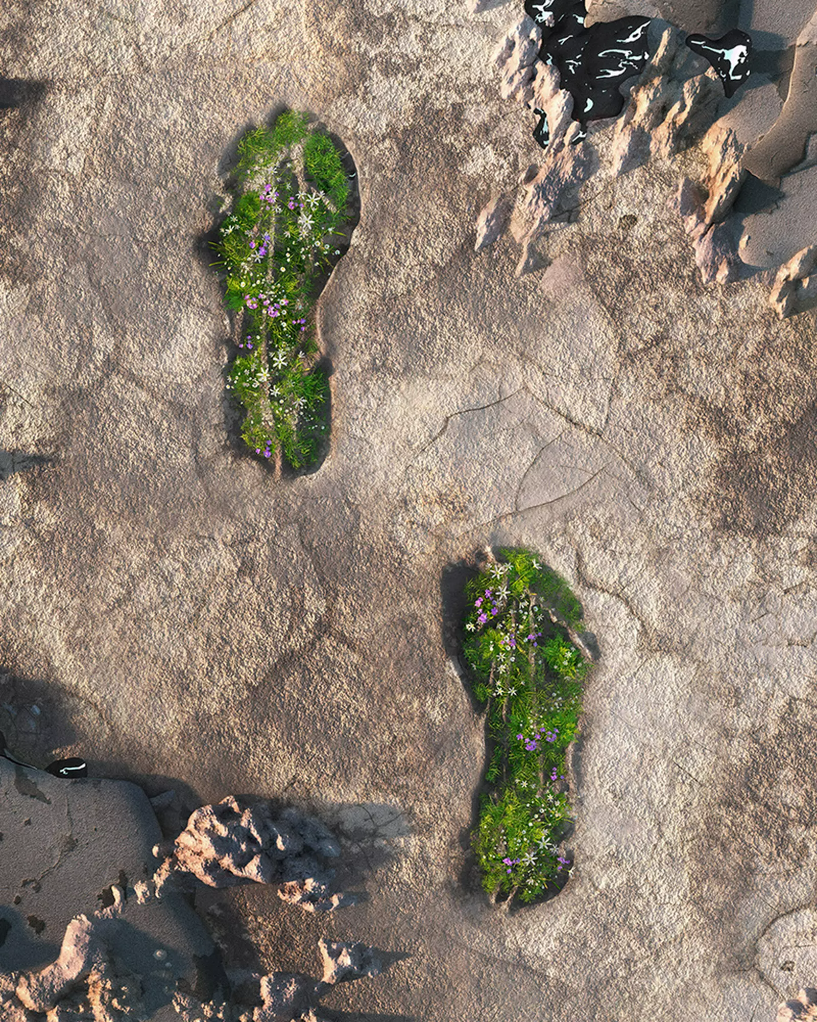 Adidas và Allbirds' kết hợp thay đổi góc nhìn về sneaker (Phần 2) Hinh anh 4: Adidas va Allbirds' ket hop thay doi goc nhin ve sneaker (Phan 2)