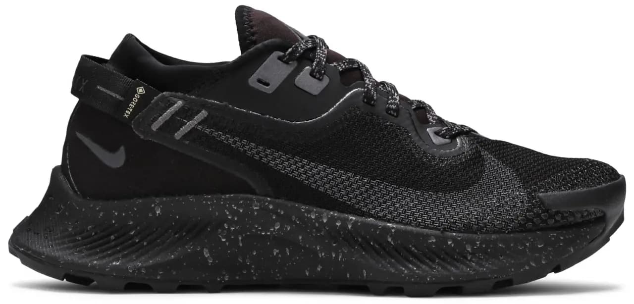Giày Nike Wmns Pegasus Trail 2 Gore-Tex 'Black Metallic Dark Grey' CU2018-001