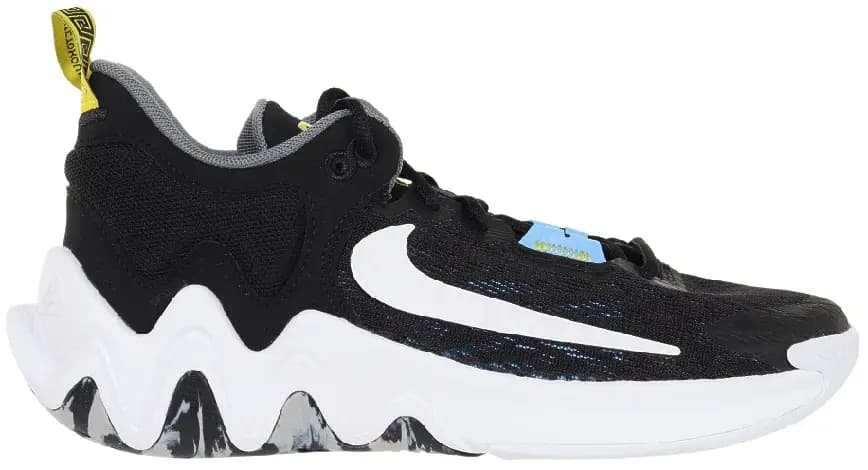 Giày Nike Giannis Immortality 2 EP 'Black' DQ1943-001