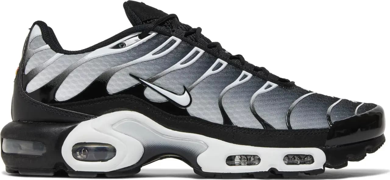 Giày Nike Air Max Plus 'Black Metallic Silver' DM0032-003