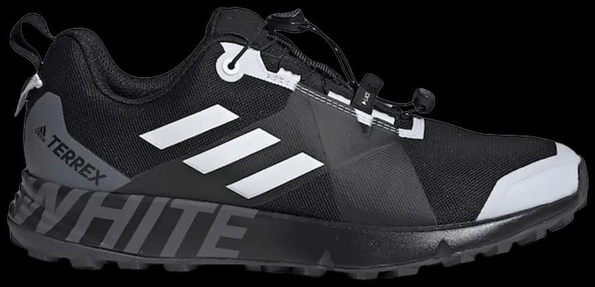Giày Adidas White Mountaineering x Terrex TWO GTX 'Core Black' DB3006