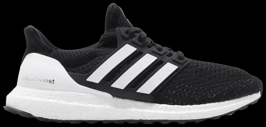 Giày Adidas UltraBoost Clima U 'Black White' EG8076