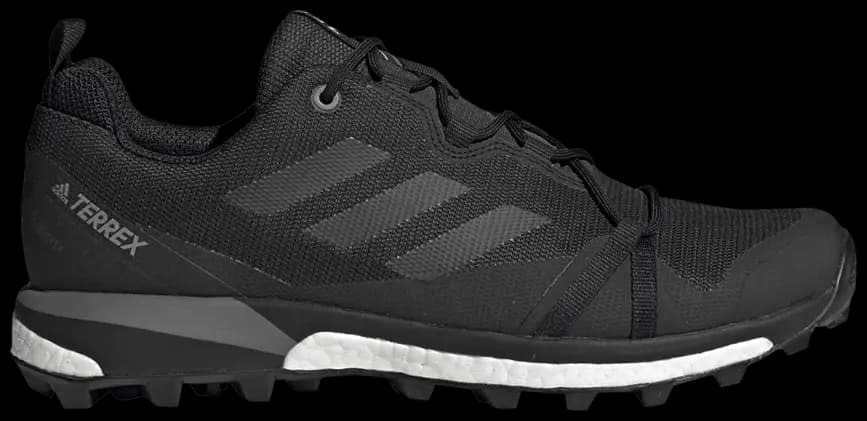 Giày Adidas Terrex Skychaser LT GTX 'Carbon' F36099