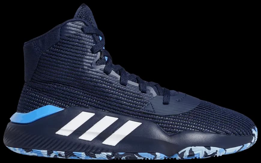 Giày Adidas Pro Bounce 2019 'Collegiate Navy' F97283
