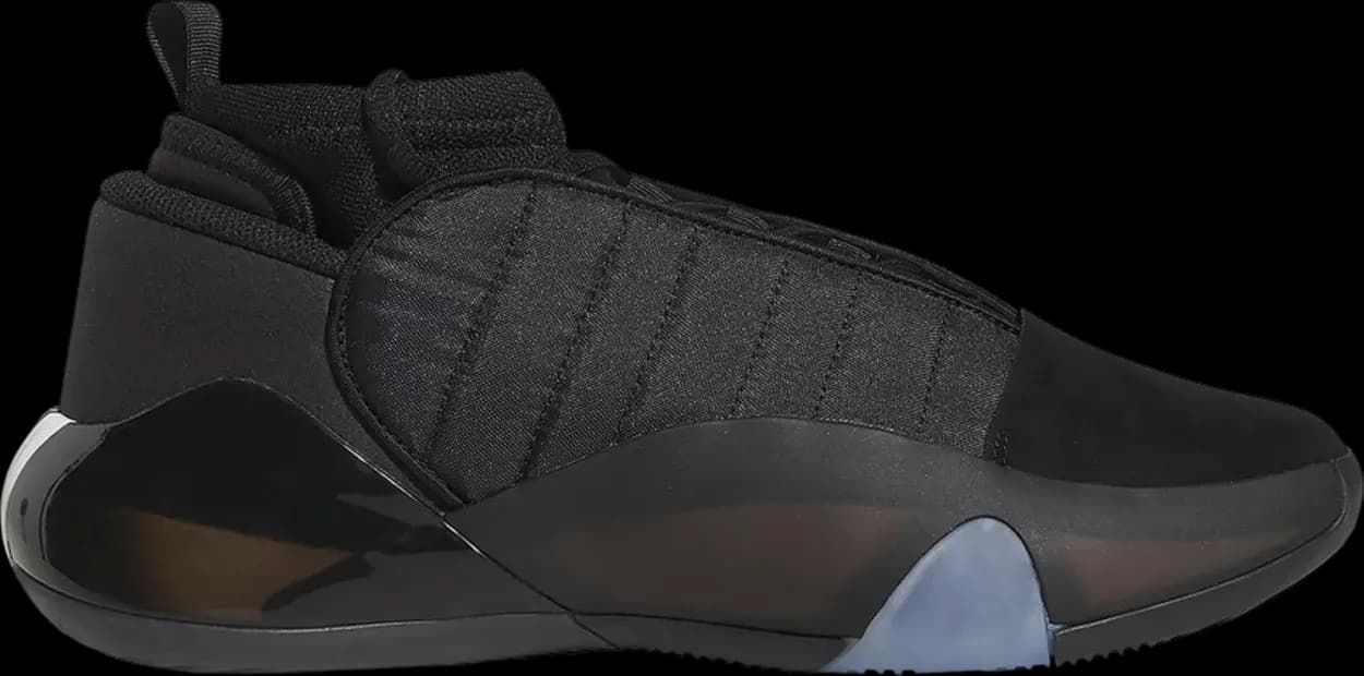 Giày Adidas Harden Vol 7 'Core Black' HP3021