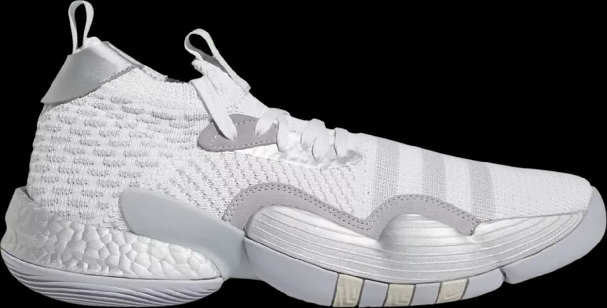 Giày Adidas Trae Young 2 'Dash Grey' HQ0997