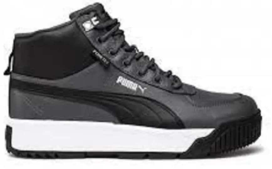 Giày Puma Terrenz Sb Puretex Ebony Puma Black Gray Violet 370552-07