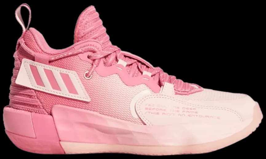 Giày Adidas Dame 7 EXTPLY J 'D.O.L.L.A.' S42805