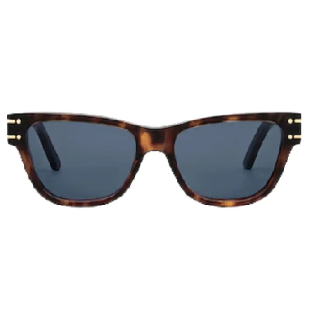 Kính Dior DiorSignature S6U DSGTS6UXR-20B0
