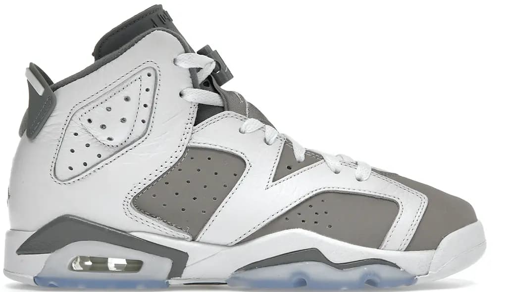 Giày Nike Air Jordan 6 Retro 'Cool Grey' 384665-100