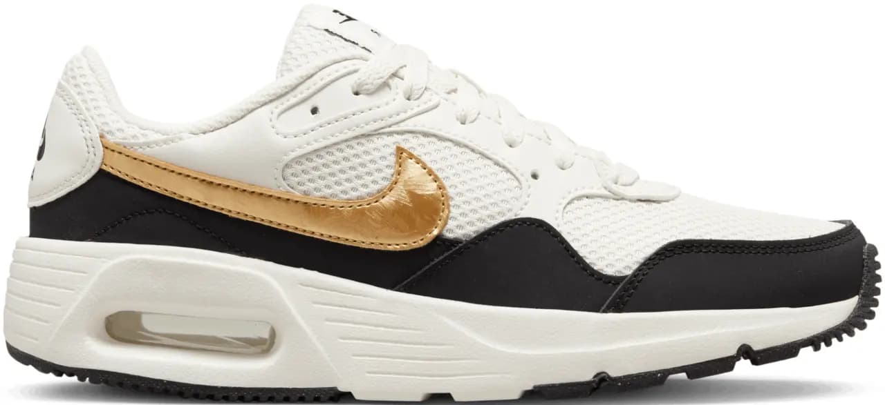 Giày Nike Air Max SC SE 'Phantom' DV6842-001