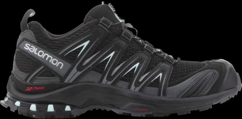 Giày Salomon XA Pro 3D 'Black' 393269