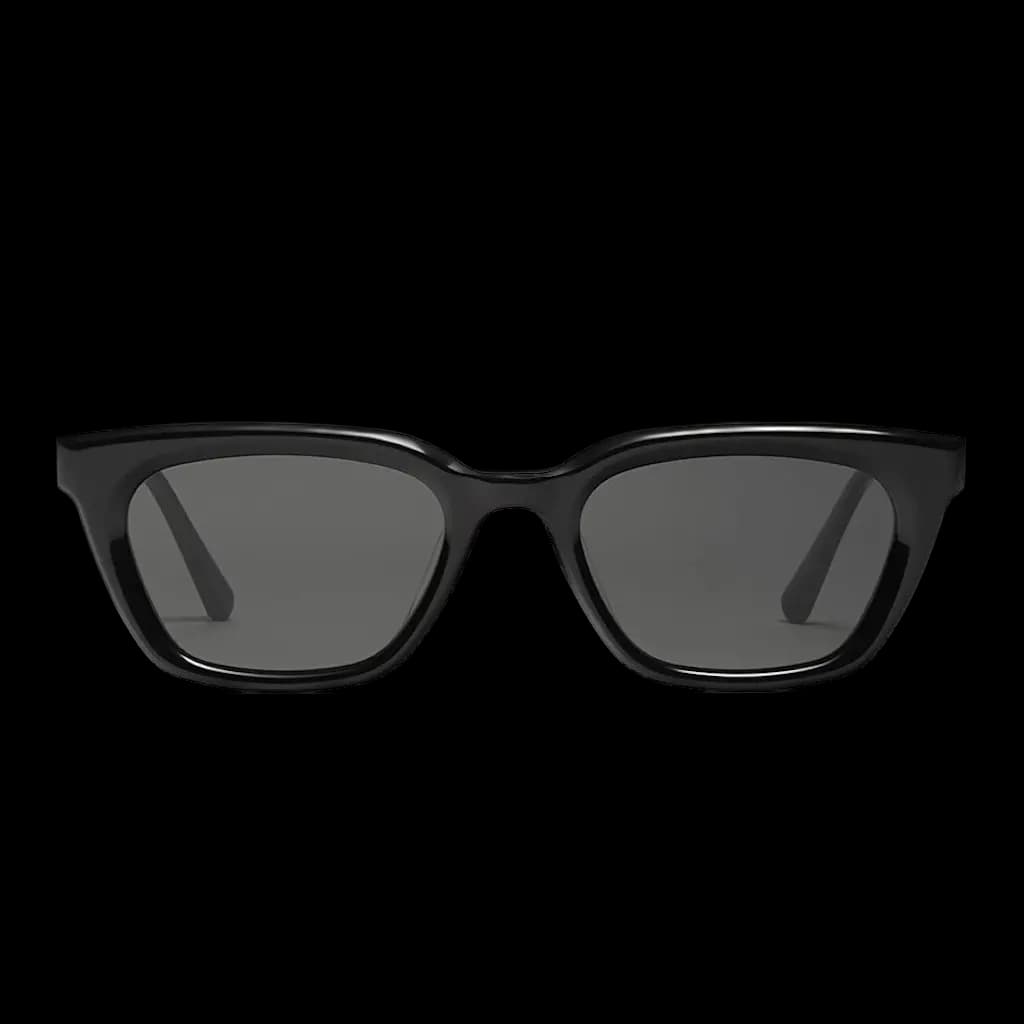 Kính Gentle Monster Hue 01 'Black'
