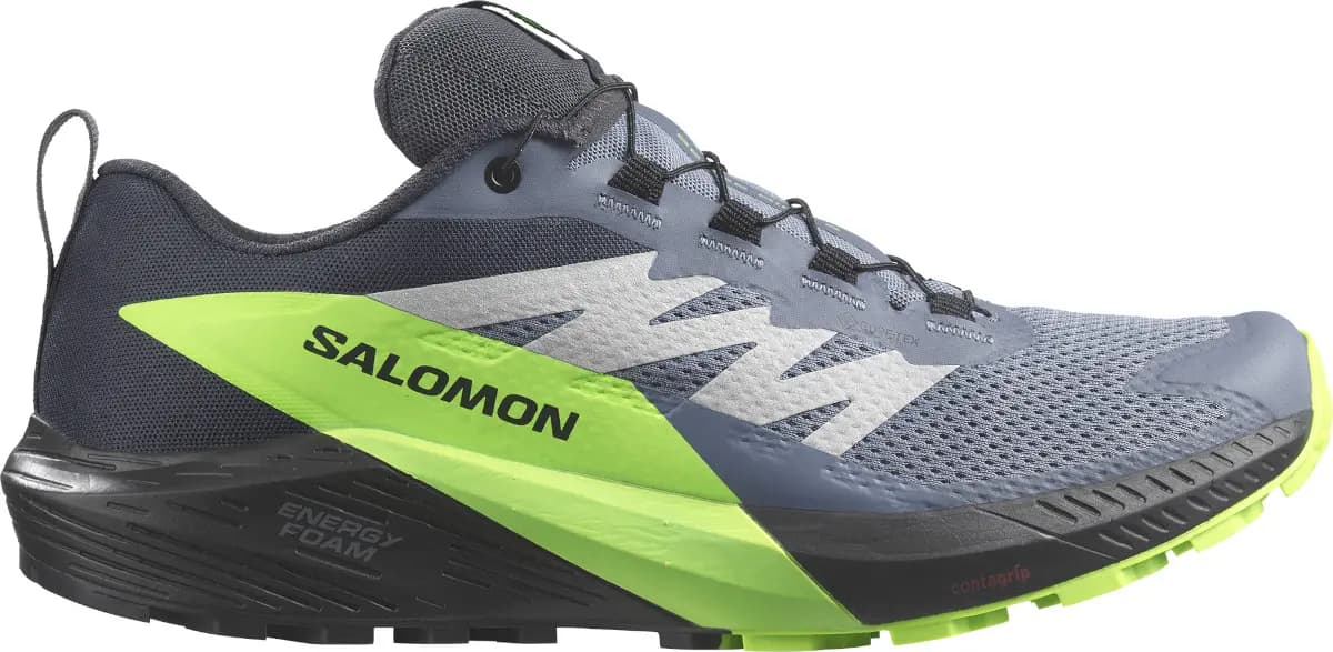 Giày Salomon Sense Ride 5 GTX 'Grey' L47312800