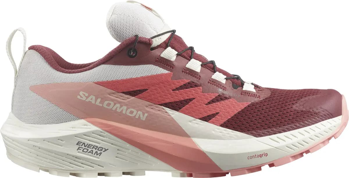 Giày Salomon Sense Ride 5 'Bunt' L47314500