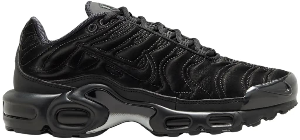 Giày Nike Air Max Plus 'Black Anthracite Sail' FV1169-001