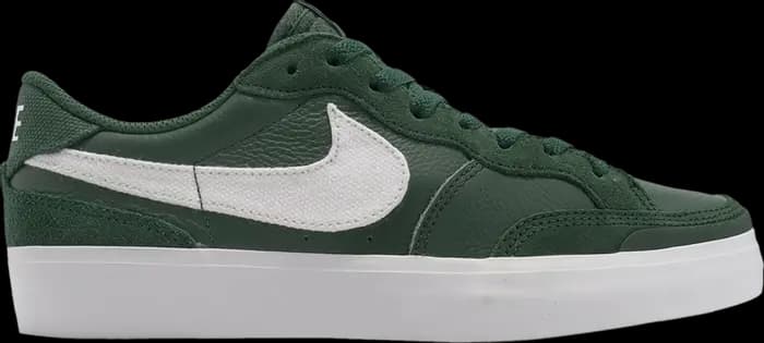 Giày Nike Zoom Pogo Plus Premium SB 'Gorge Green' DQ5127-300