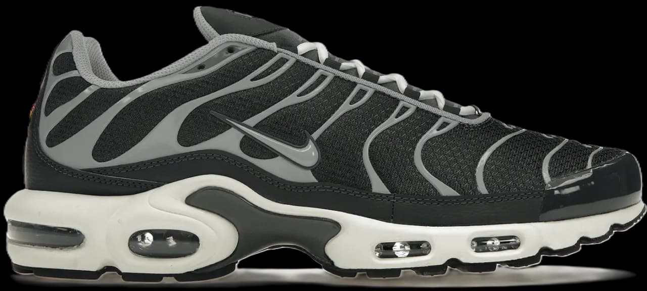 Giày Nike Air Max Plus 'Greyscale Cool Grey' DZ2655-001