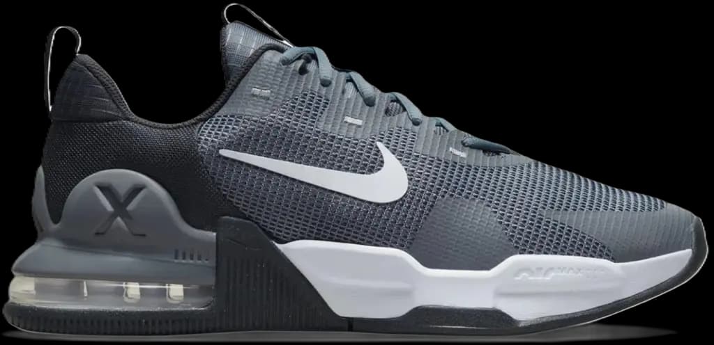 Giày Nike Air Max Alpha Trainer 5 'Smoke Grey' DM0829-003
