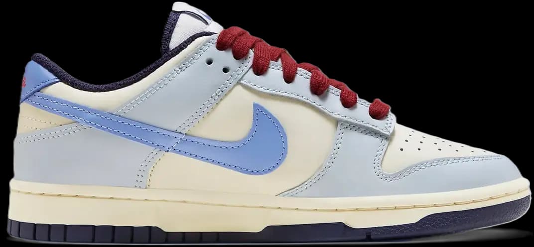 Giày Nike Dunk Low 'From Nike To You' FV8113-141