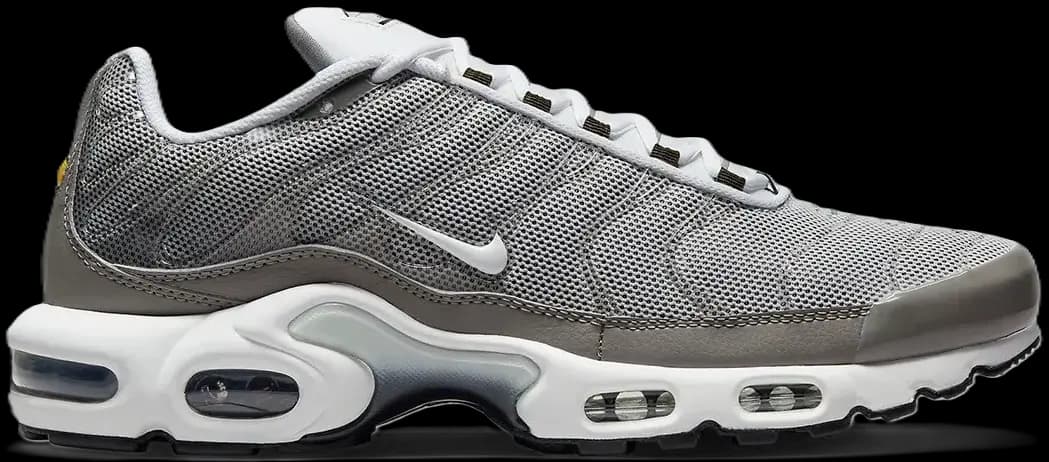 Giày Nike Air Max Plus 'Flat Pewter' DV7665-002