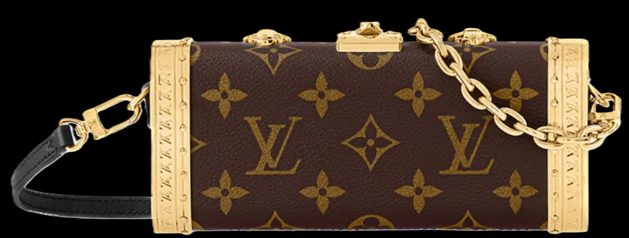Túi Louis Vuitton Vanity Case PM Bag 'Brown' M46758