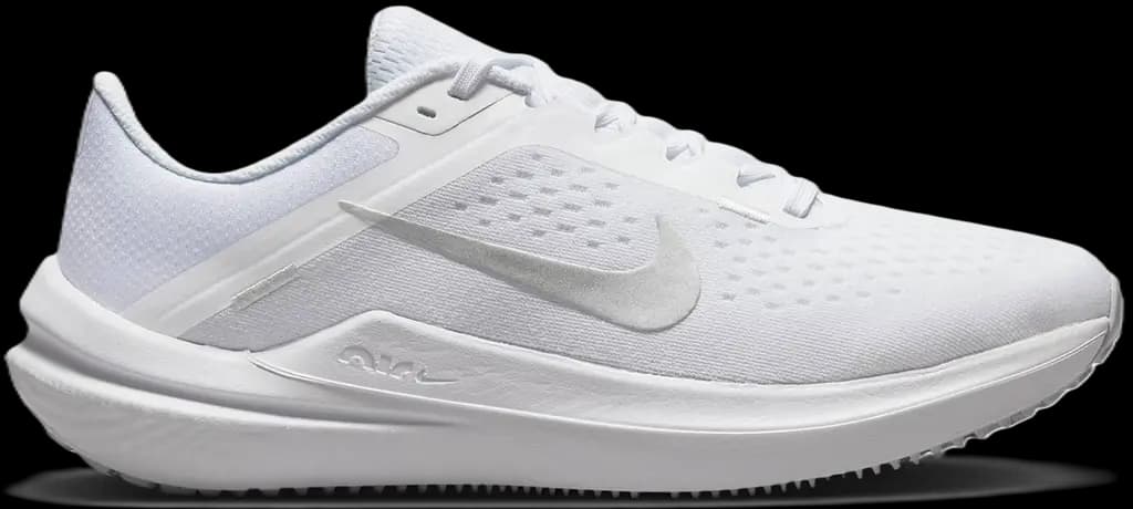 Giày Nike Winflo 10 'White Metallic Silver' DV4023-102