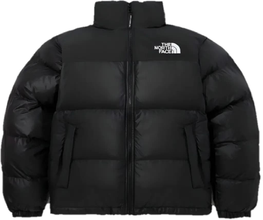 Áo The North Face 'Nuptse On Ball' NJ3NP55A
