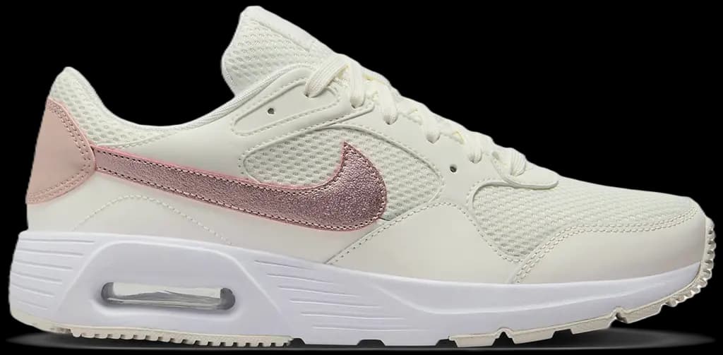 Giày Nike Air Max SC SE 'Pink Oxford' DV6842-100