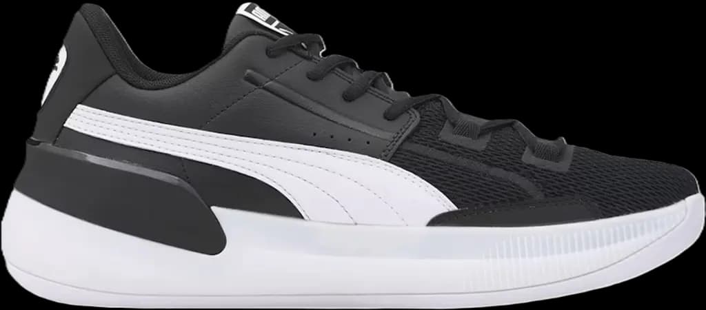 Giày Puma Clyde Hardwood Team 'Black White' 194454-02