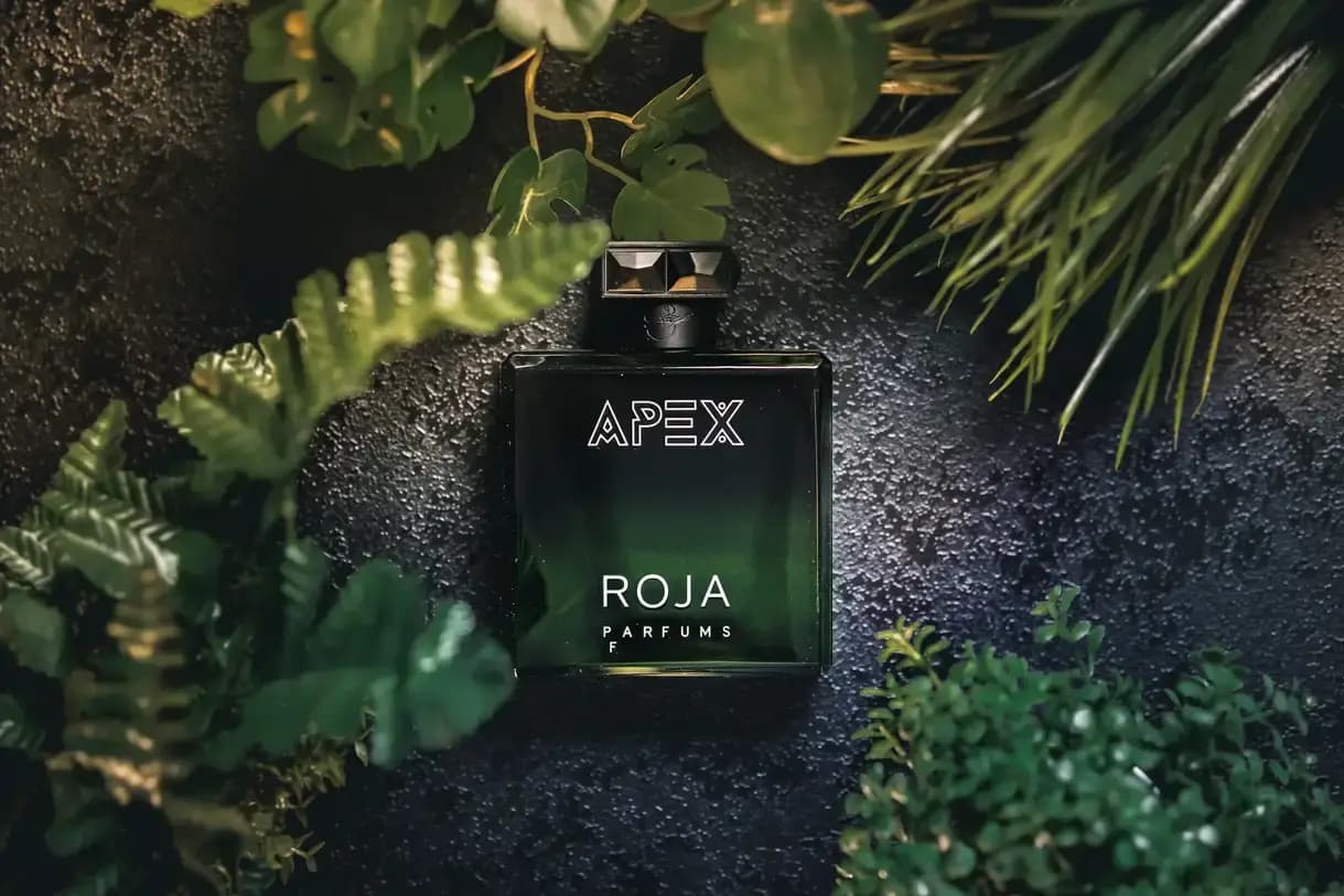 Roja Apex - một chuyến hành trình khám phá thế giới mới