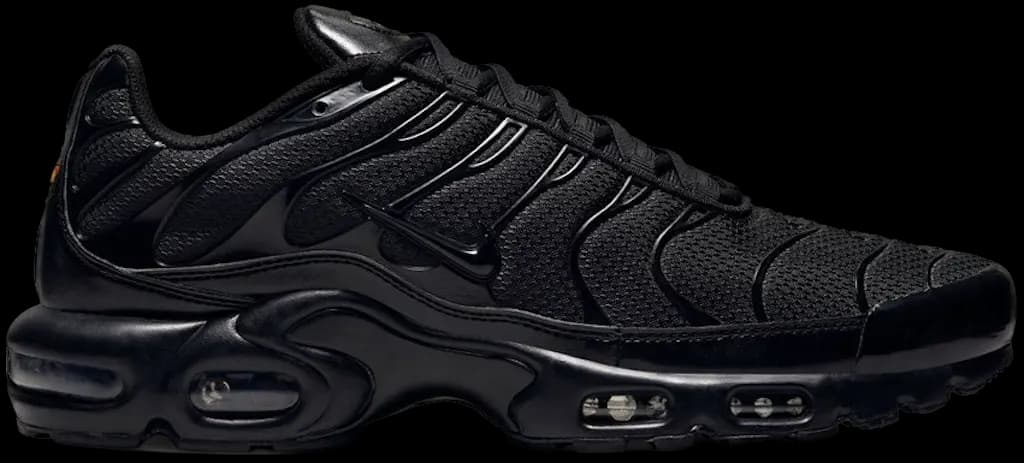 Giày Nike Air Max Plus 'Triple Black' 604133-050