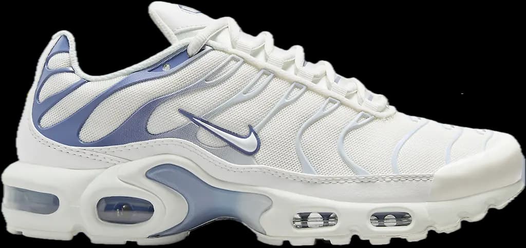 Giày Nike Air Max Plus 'Ashen Slate' DZ3671-104