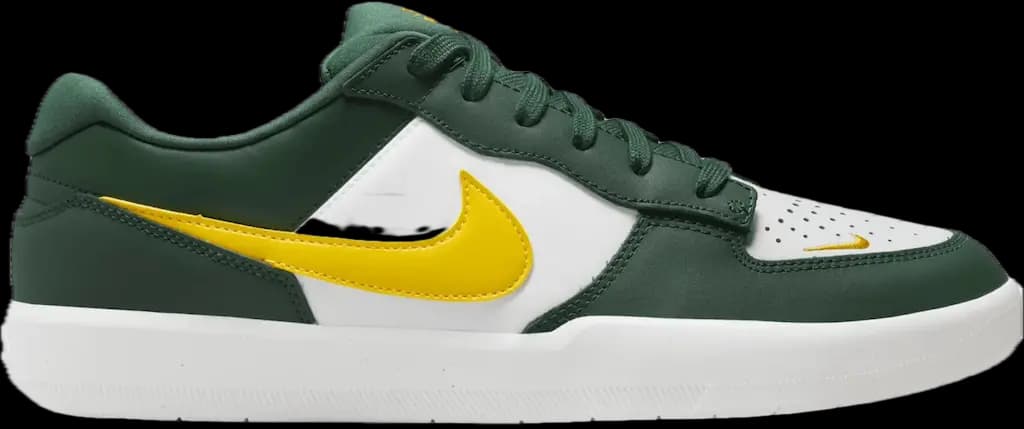Giày Nike SB Force 58 Premium 'Green' DH7505-300