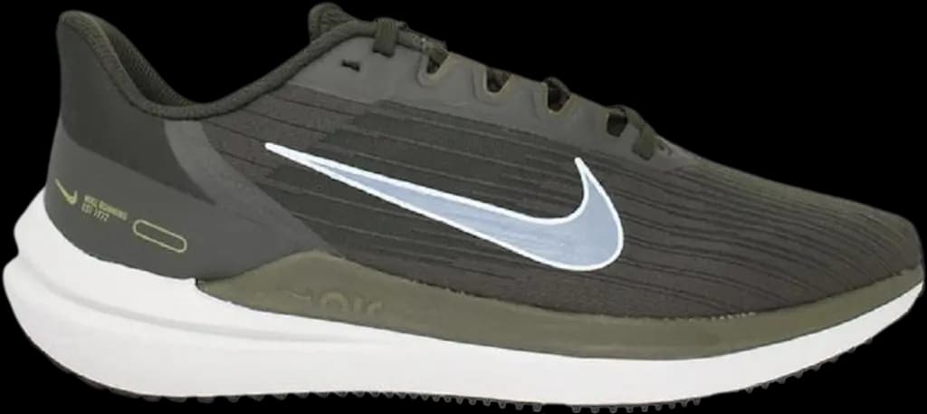 Giày Nike Air Winflo 9 'Blue Green' DD6203-300