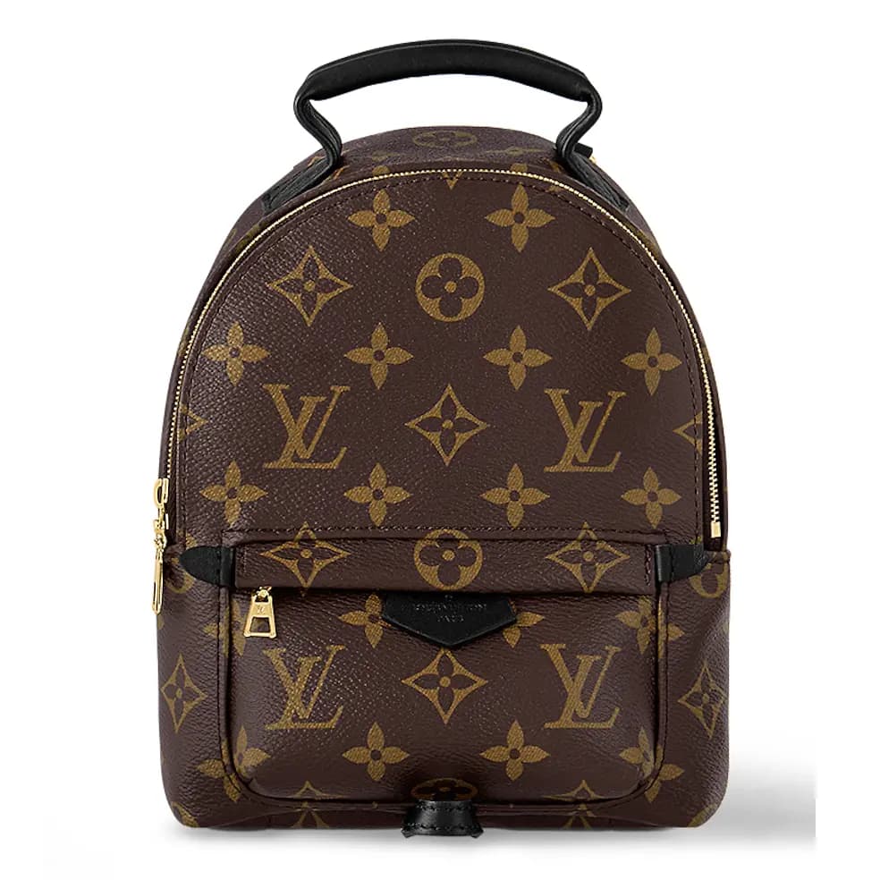 Balo Louis Vuitton Palm Springs Mini 'Brown' M44873