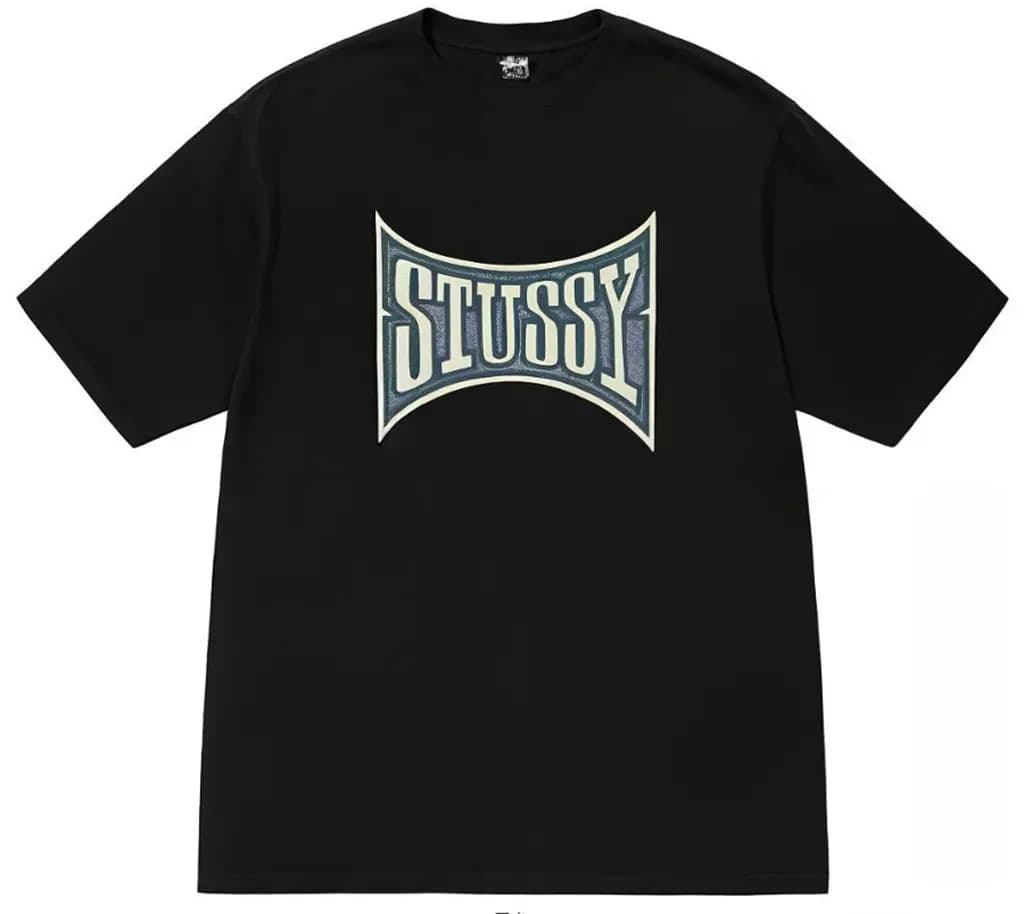 Áo Stussy Champion Pigment Dyed Tee 'Black'