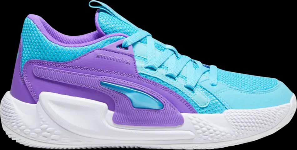 Giày Nike Court Rider Chaos 'Purple Glimmer' 379013-06