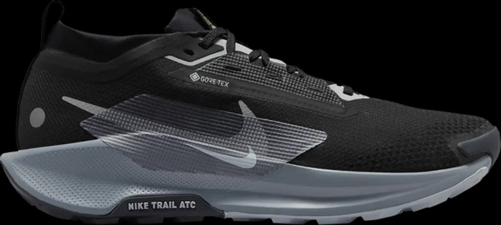Giày Nike Pegasus Trail 5 GORE-TEX 'Black Grey' FQ0908-001