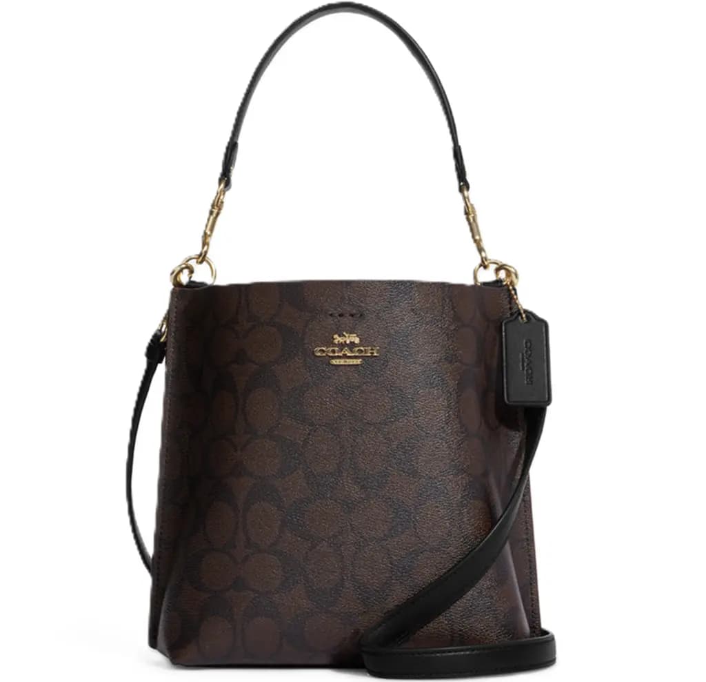 Túi Coach Mollie Bucket 22 Canvas Bag 'Brown' CA582-IMAA8