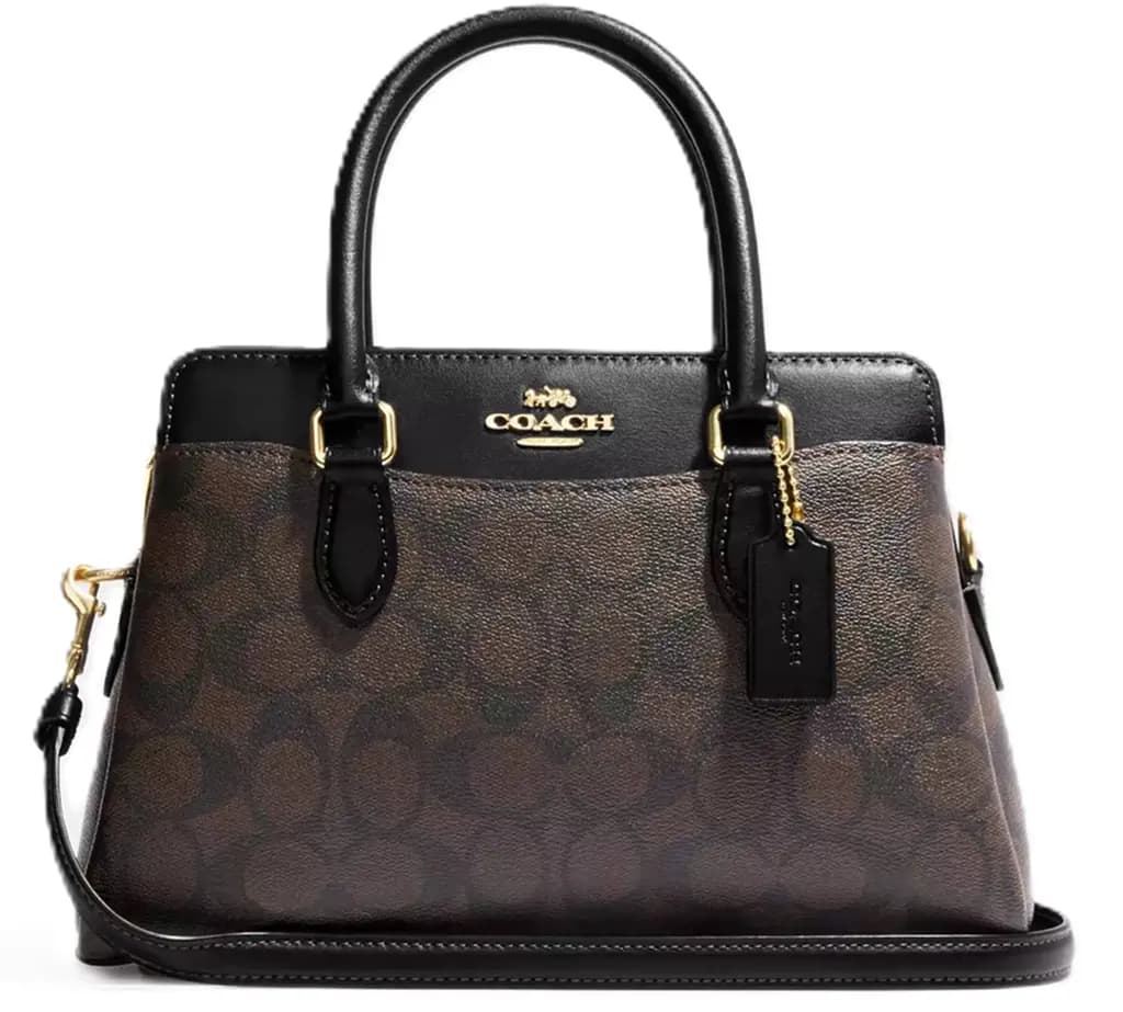 Túi Coach Mini Darcie Carryall Signature Canvas 'Brown' CH174-IMAA8