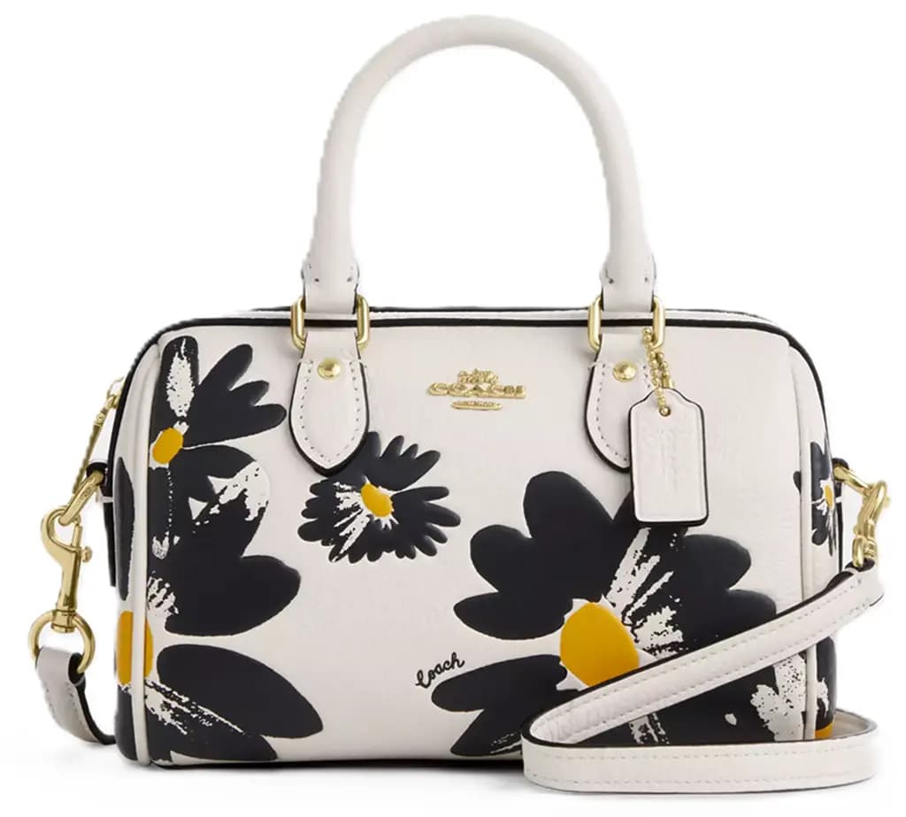 Túi Coach Mini Rowan Crossbody Floral Print 'Chalk' CZ597-IMCAH