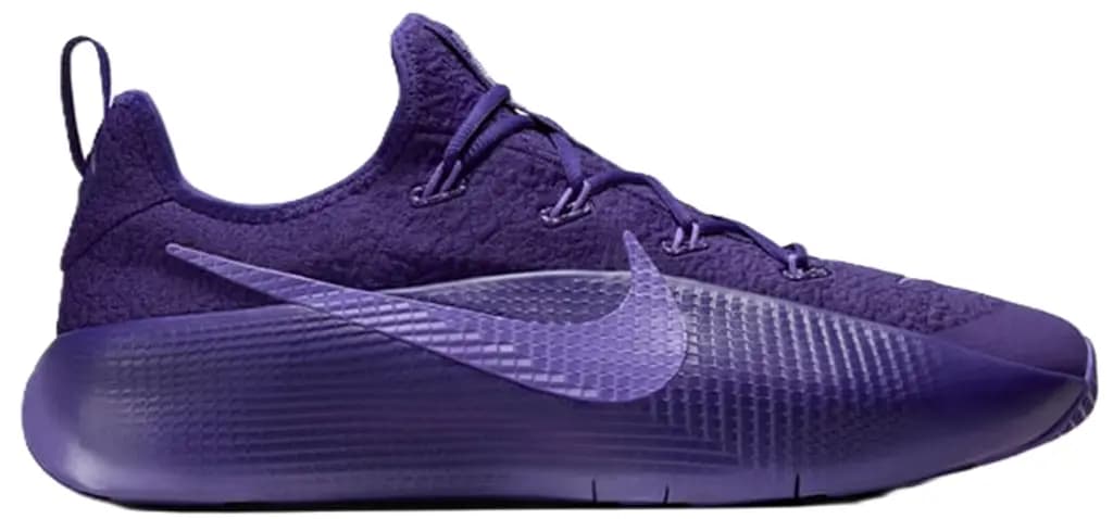Giày Nike LeBron TR 1 'Purple Rain' FJ6151-500